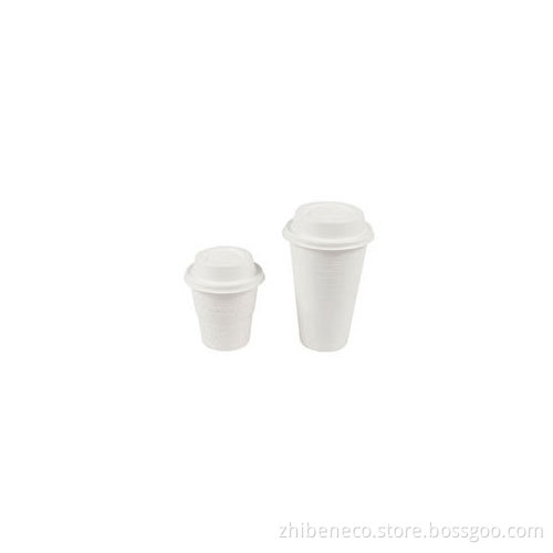 Eco Friendly Disposable Bagasse Cup 2021